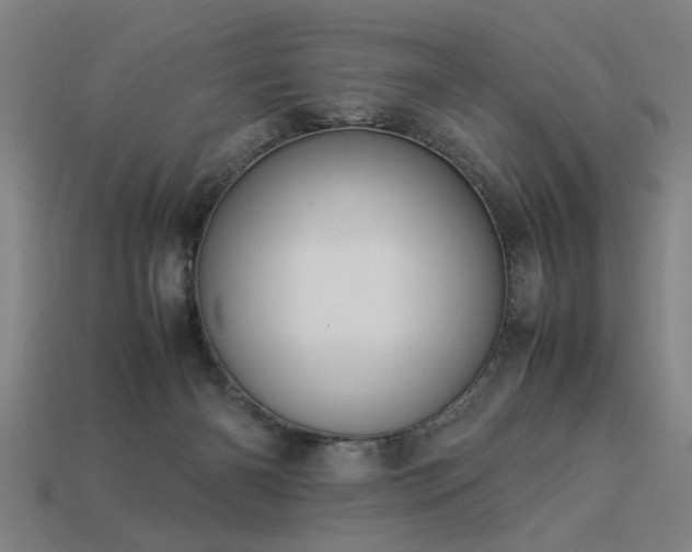 X0000113950126200909251347