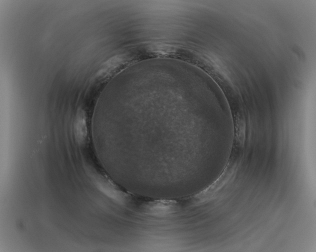 X0000113950128200909251347