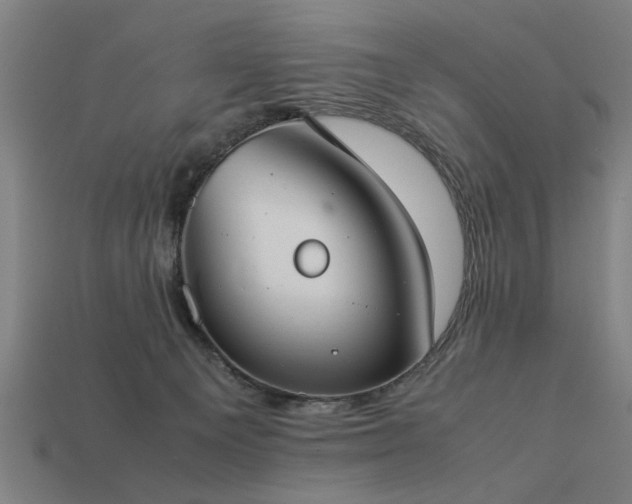X0000113950129200909251346