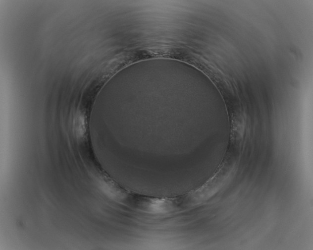X0000113950130200909251346
