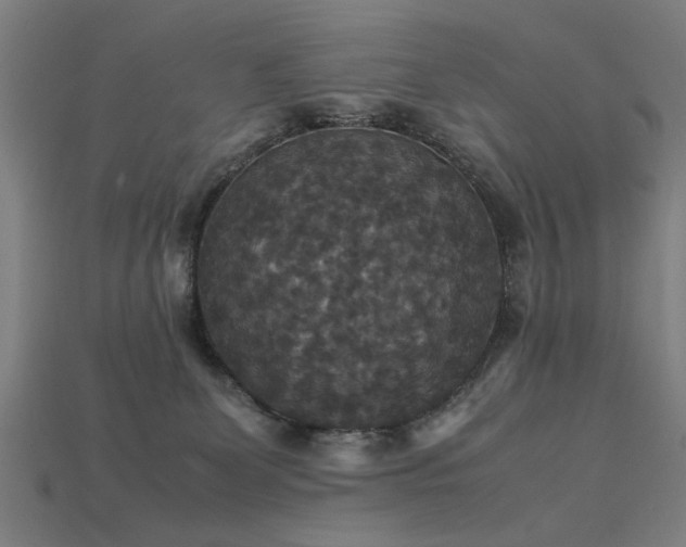 X0000113950131200909251346