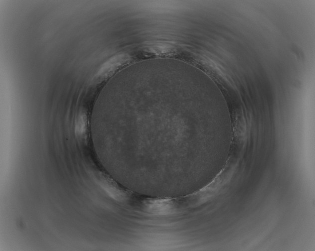 X0000113950132200909251346