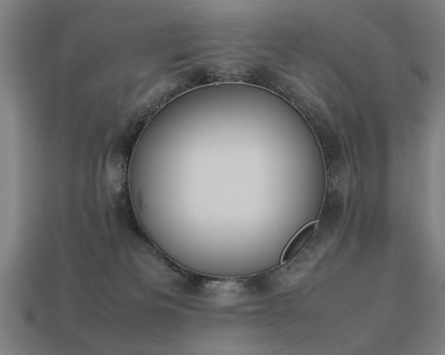 X0000113950133200909251346