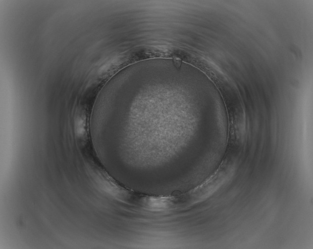 X0000113950134200909251346