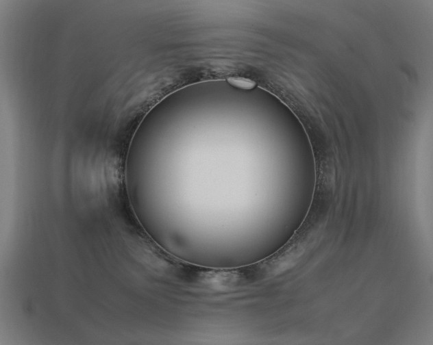 X0000113950135200909251346
