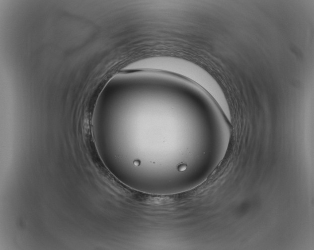 X0000113950137200909251346