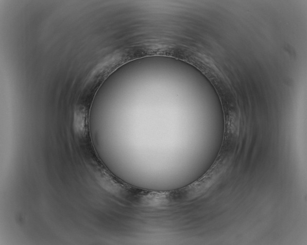 X0000113950138200909251346