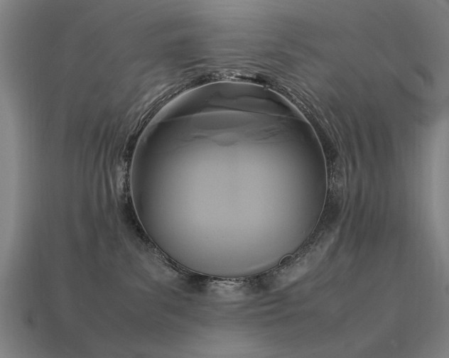 X0000113950139200909251346