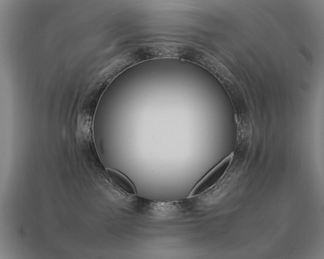 X0000113950141200909251346