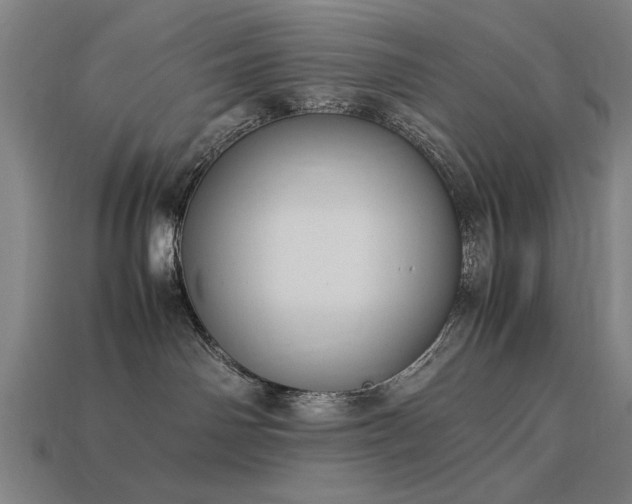 X0000113950142200909251346