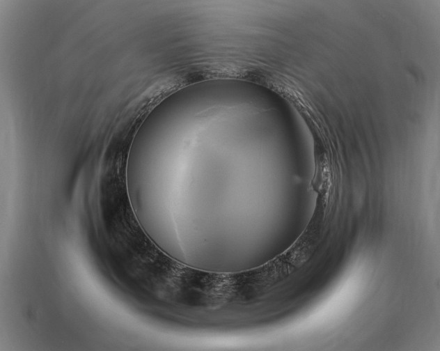 X0000113950143200909251346