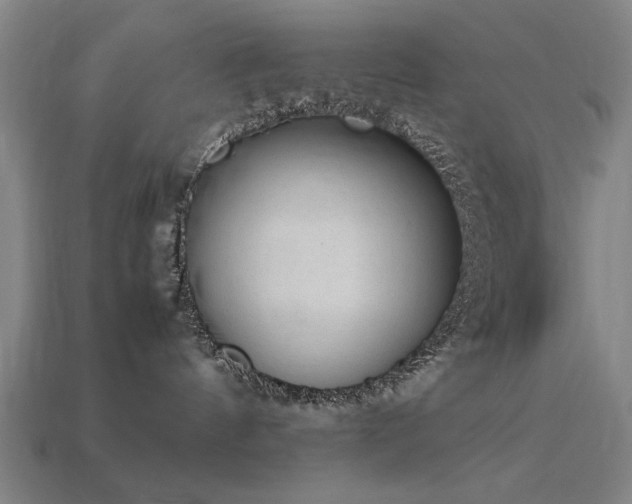 X0000113950144200909251346