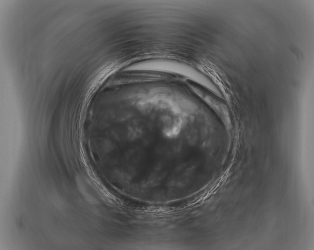 X0000113950145200909251346