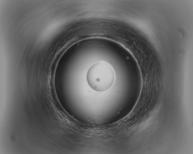 X0000113950146200909251346