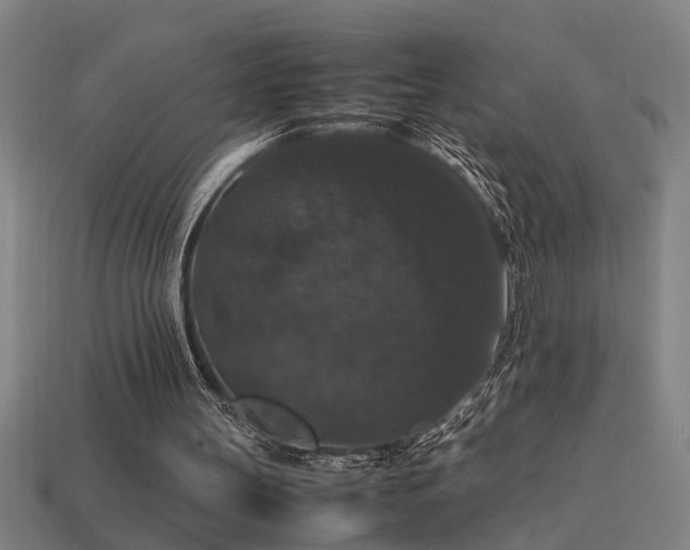 X0000113950147200909251346