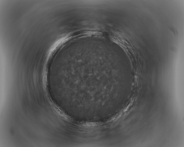 X0000113950149200909251346