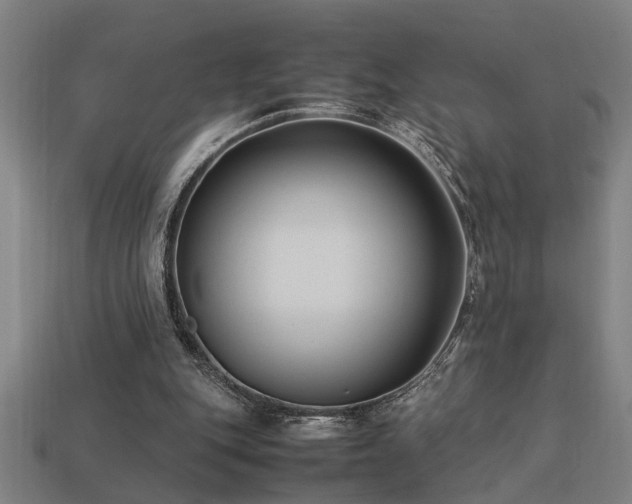 X0000113950151200909251346