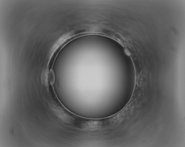 X0000113950152200909251346