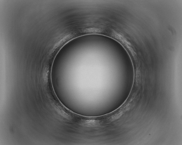 X0000113950153200909251346