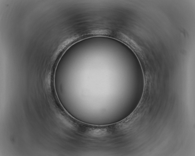 X0000113950155200909251346