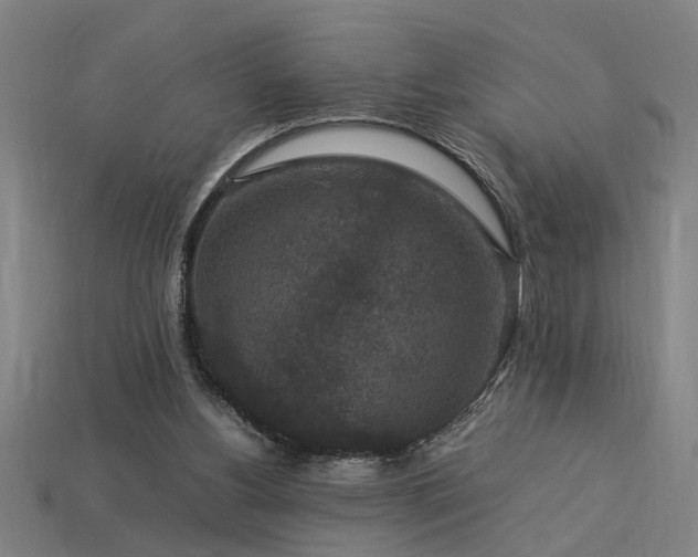 X0000113950156200909251346