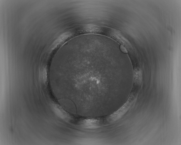 X0000113950158200909251346