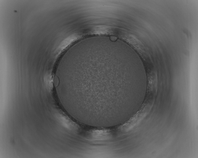 X0000113950160200909251346