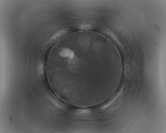 X0000113950161200909251346