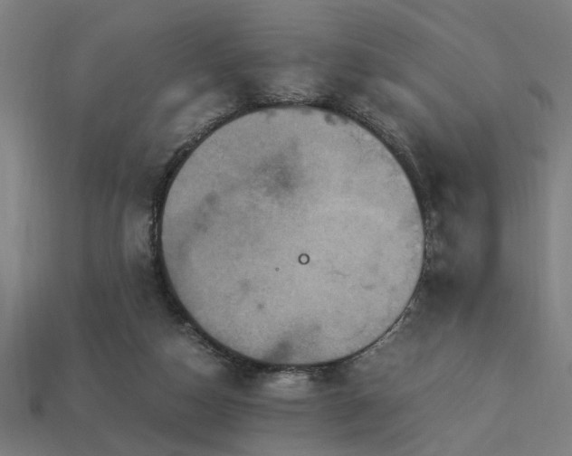 X0000113950162200909251346