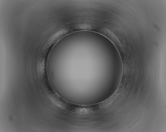 X0000113950163200909251346