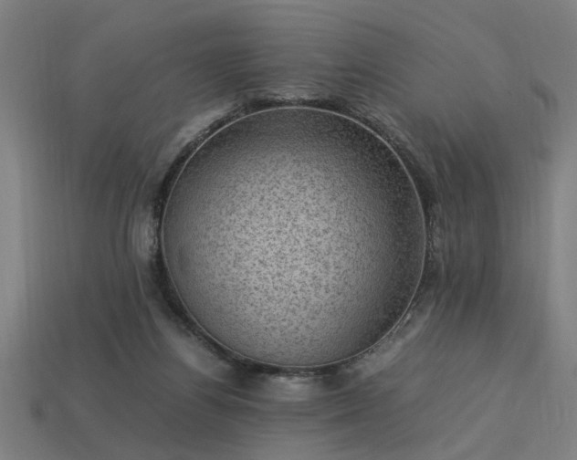 X0000113950164200909251346