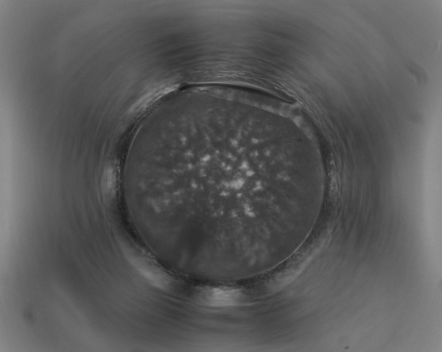 X0000113950165200909251346