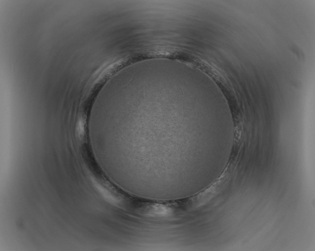 X0000113950166200909251346