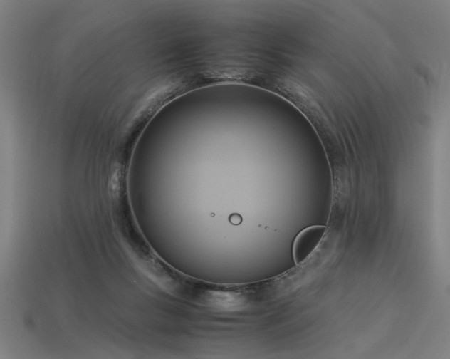 X0000113950167200909251346
