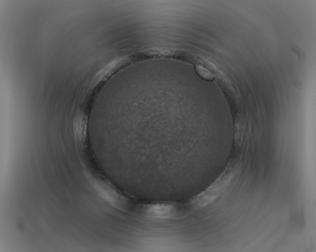 X0000113950168200909251346