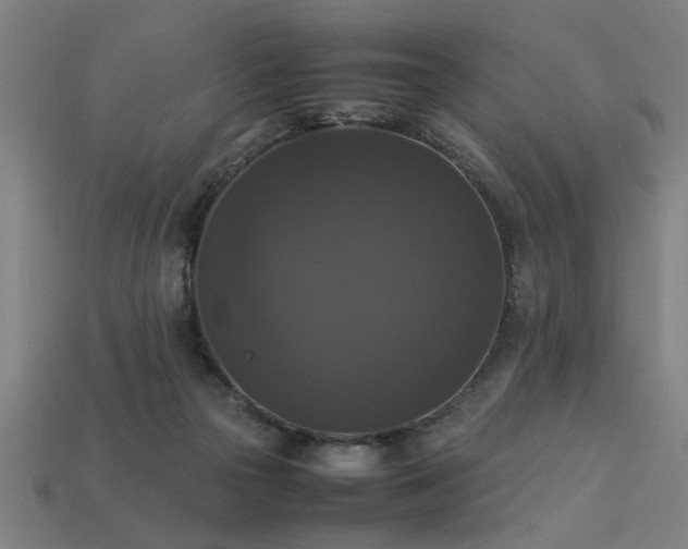 X0000113950169200909251346