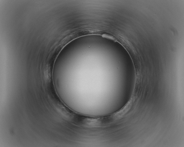 X0000113950170200909251346