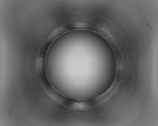 X0000113950171200909251346