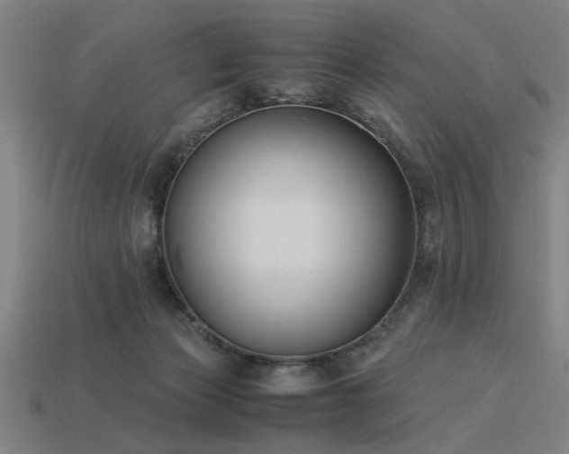 X0000113950173200909251346