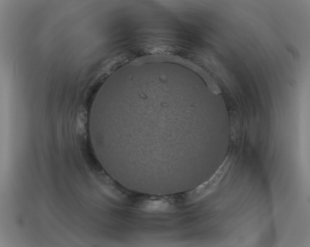 X0000113950175200909251346