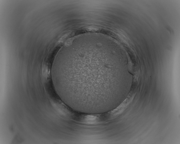 X0000113950176200909251346