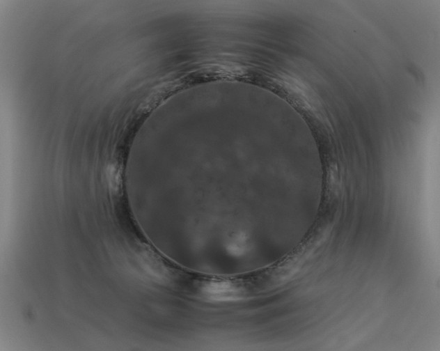 X0000113950177200909251346