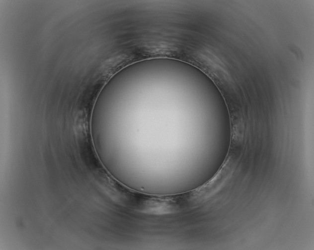 X0000113950179200909251346