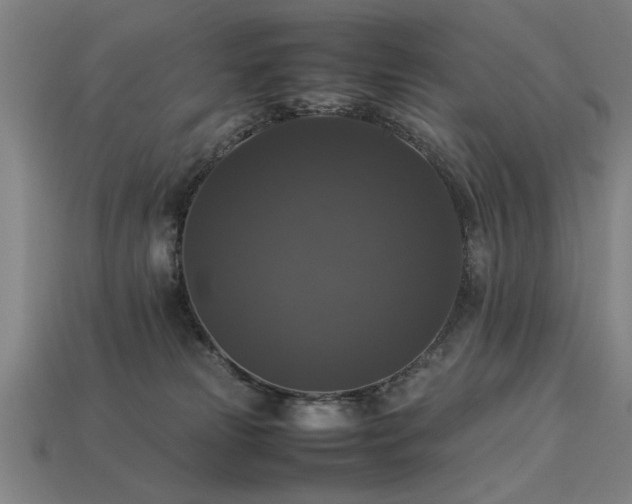 X0000113950181200909251346