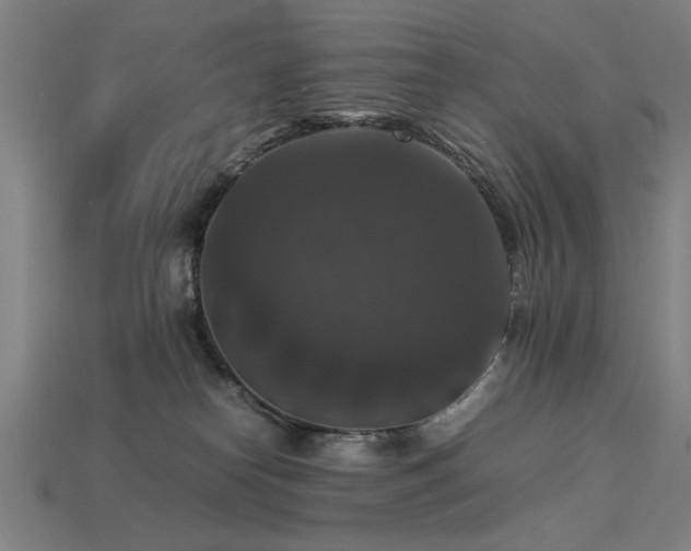 X0000113950182200909251346