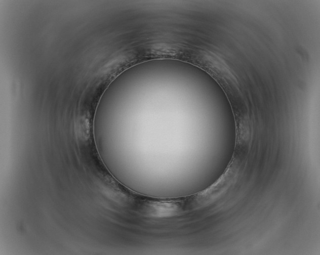 X0000113950183200909251346