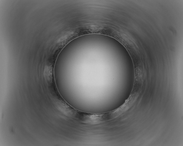 X0000113950184200909251346