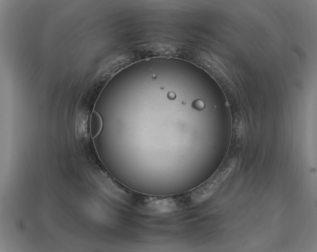 X0000113950185200909251346