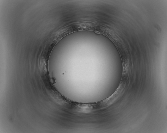 X0000113950187200909251346