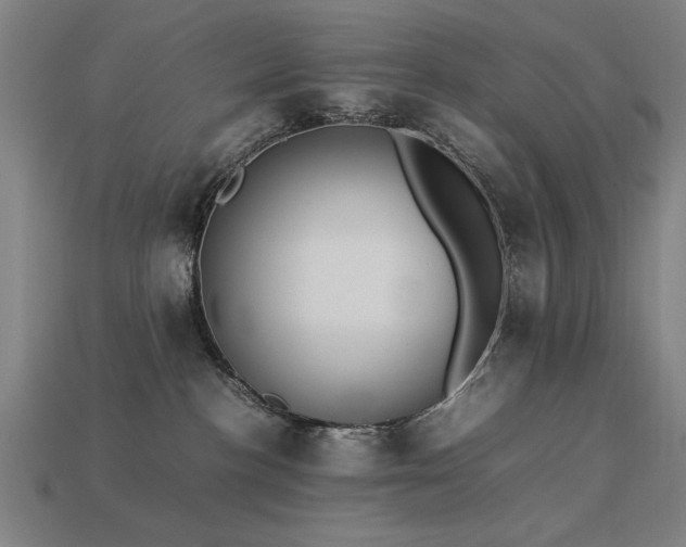 X0000113950188200909251346